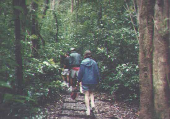 Hiking in Monteverde